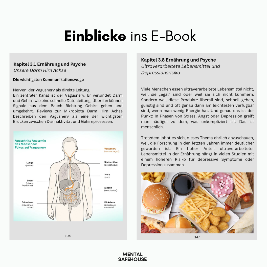 1x1 Mentalsafehouse Ratgeber E-Book Bundle