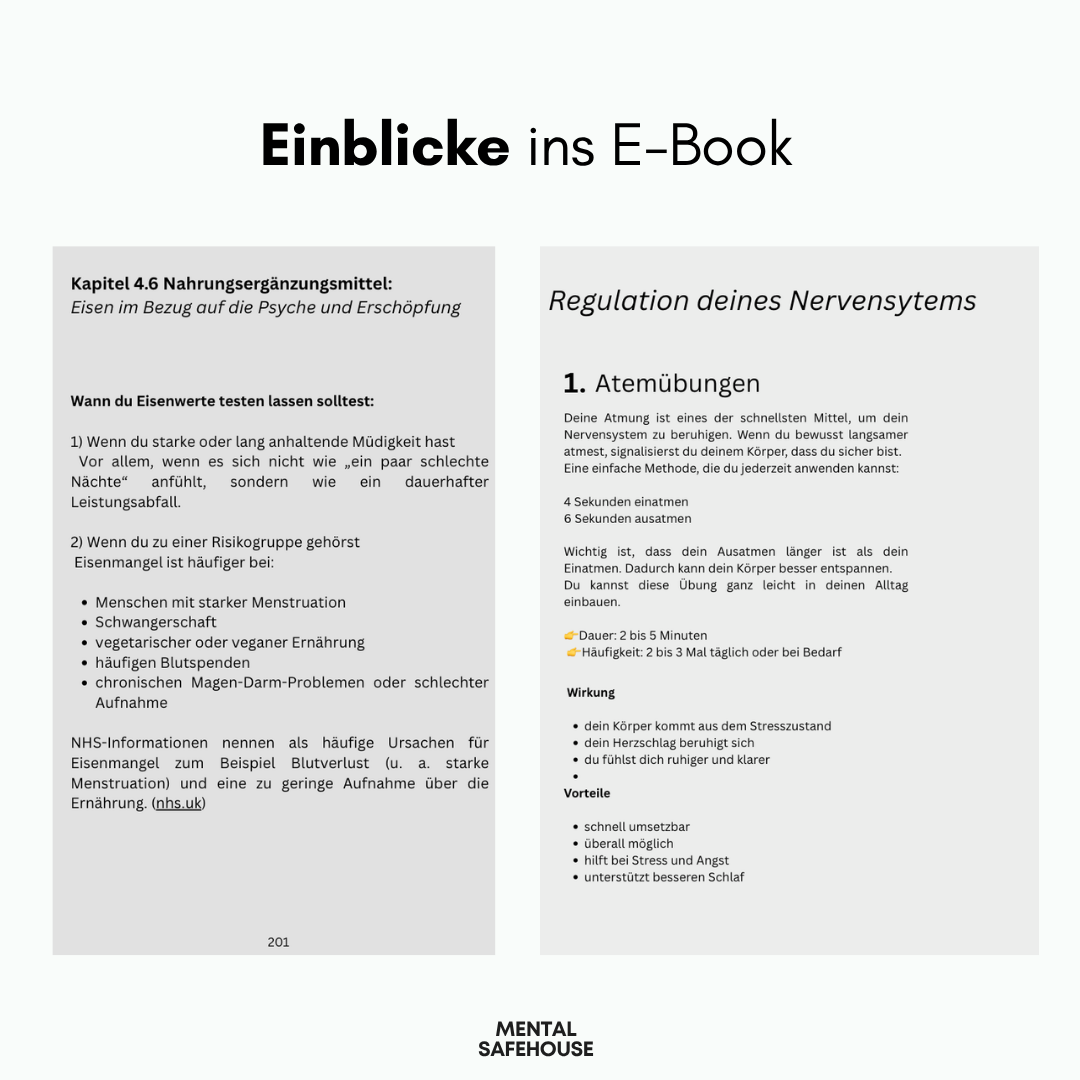 1x1 Mentalsafehouse Ratgeber E-Book Bundle
